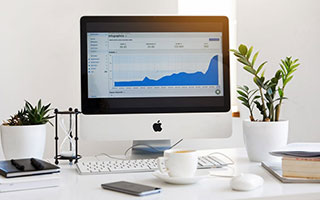 世界杯官网app下载-猛龙装饰“新家”迎新赛季 球馆氛围堪比多伦多主场